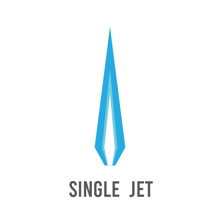 Single Jet Category