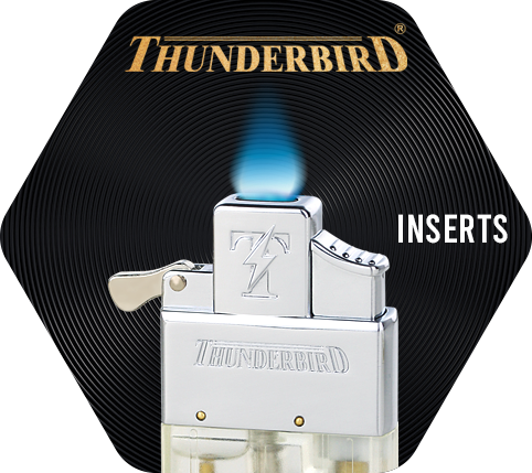 Thunderbird Inserts Icon